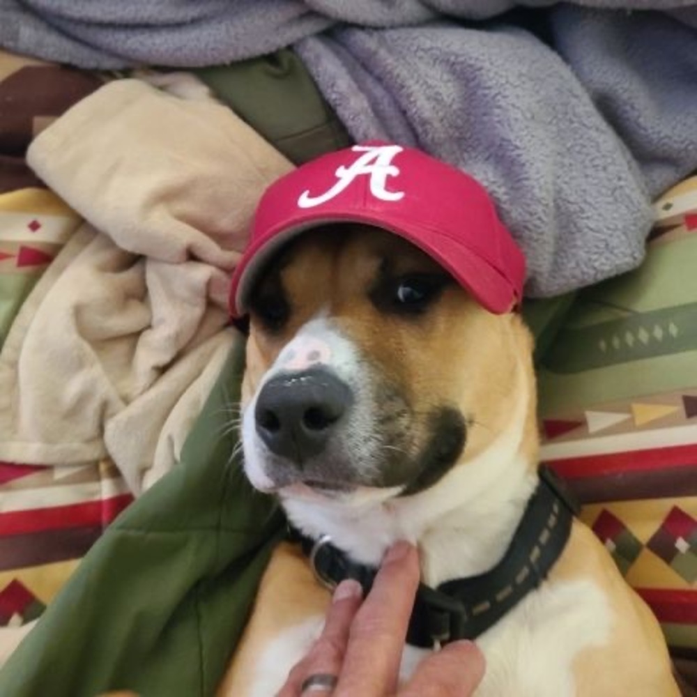 Meet your Posher, Carl